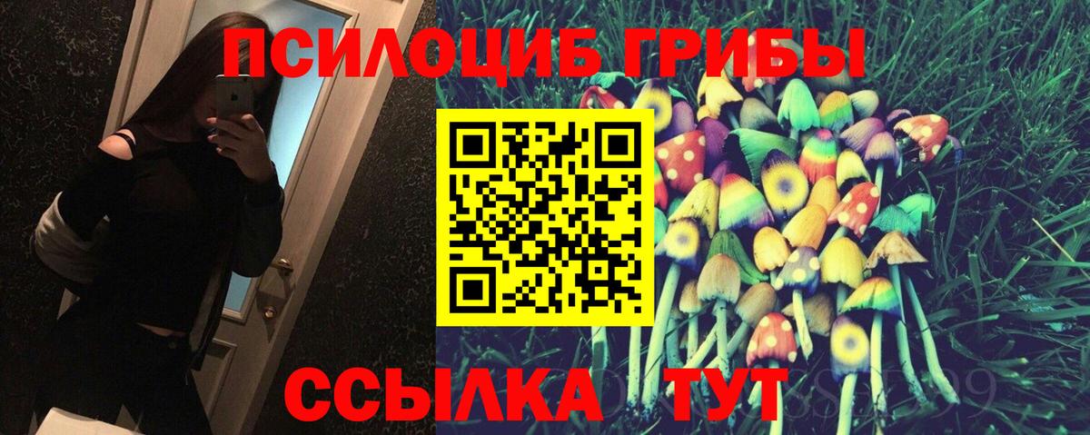 Галлюциногенные грибы прущие грибы Ставрополь